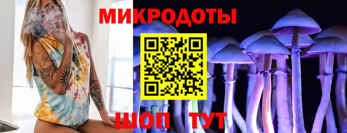 Галлюциногенные грибы Psilocybine cubensis Осинники